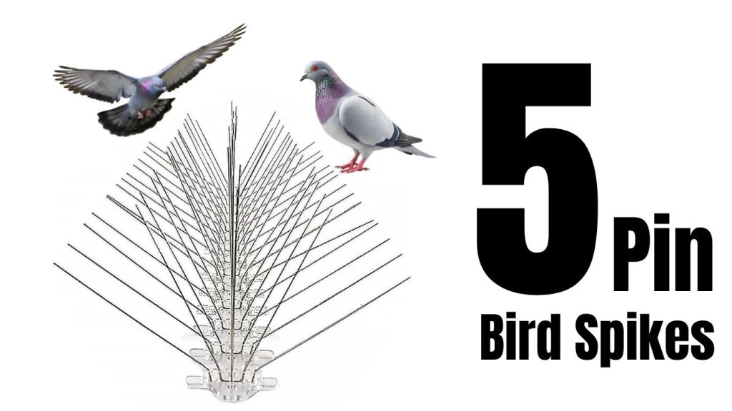 5 pin bird spikes