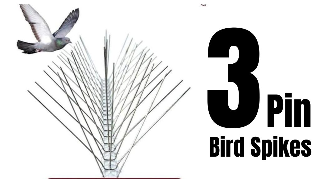 3 pin bird spikes