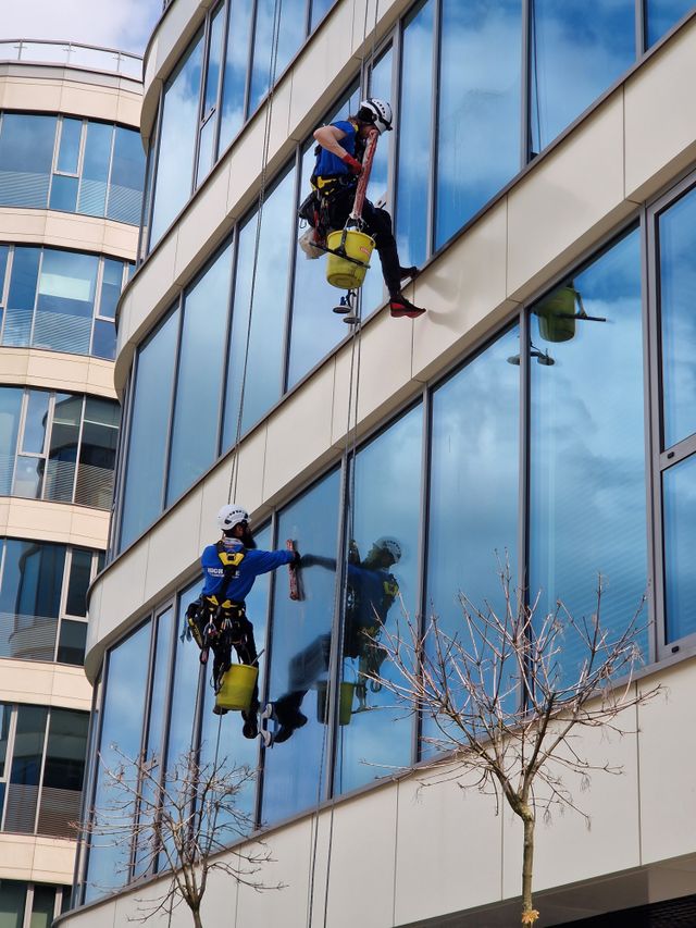 Window Cleaning