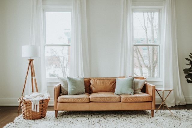Clean Sofa